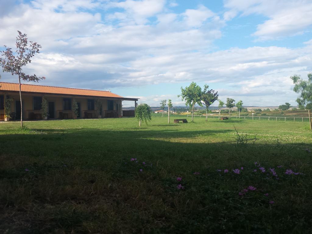 Agriturismo San Matteo Tarquinia Bilik gambar
