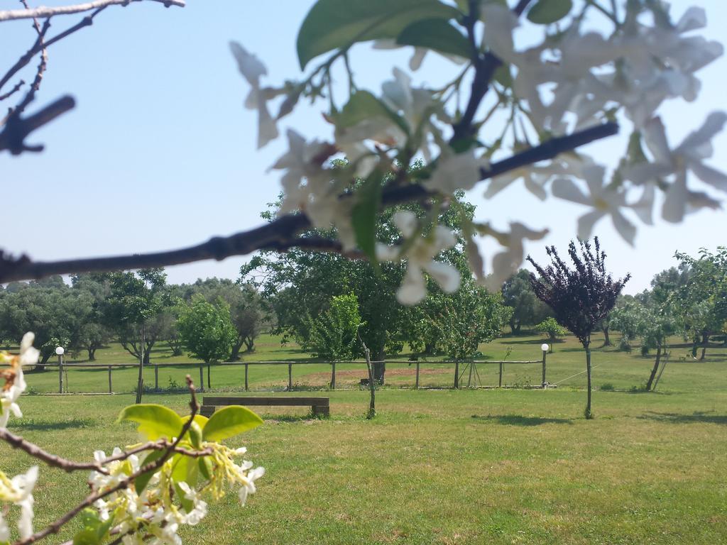 Agriturismo San Matteo Tarquinia Bilik gambar