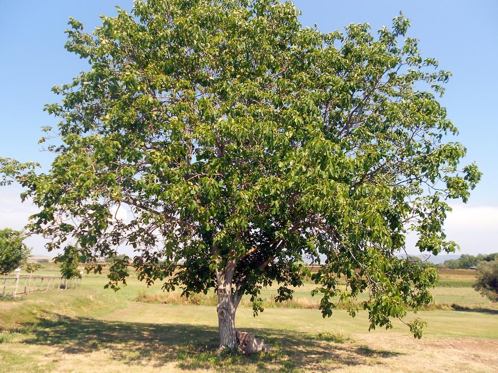 Agriturismo San Matteo Tarquinia Luaran gambar
