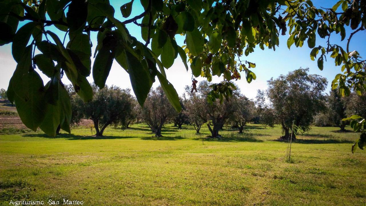 Agriturismo San Matteo Tarquinia Luaran gambar