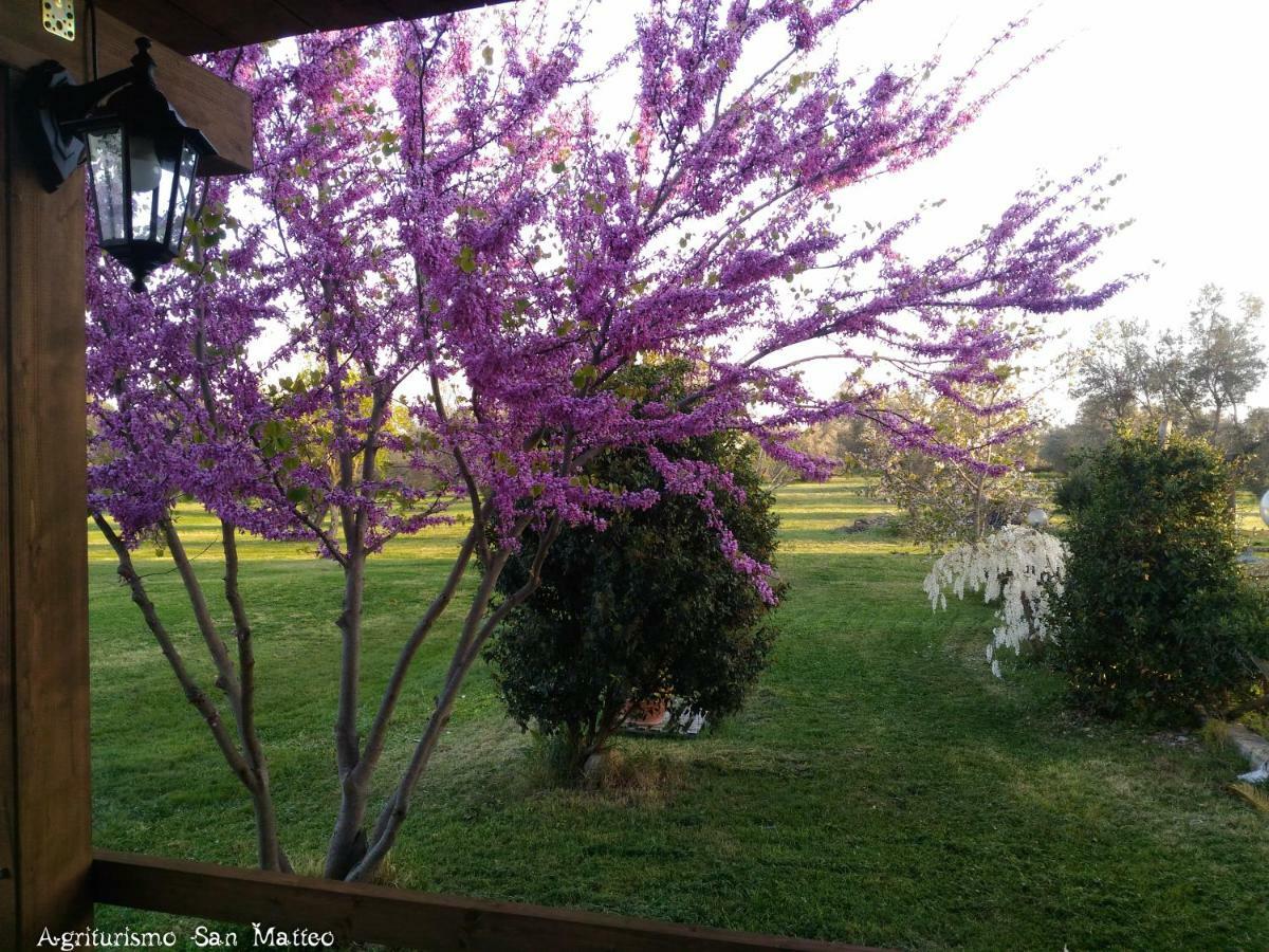 Agriturismo San Matteo Tarquinia Luaran gambar