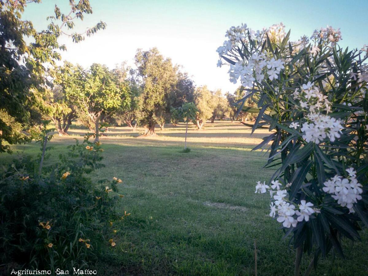 Agriturismo San Matteo Tarquinia Luaran gambar