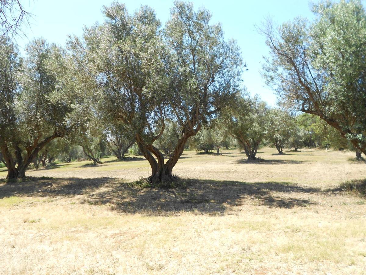 Agriturismo San Matteo Tarquinia Luaran gambar