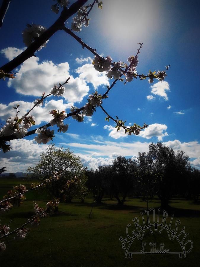Agriturismo San Matteo Tarquinia Luaran gambar