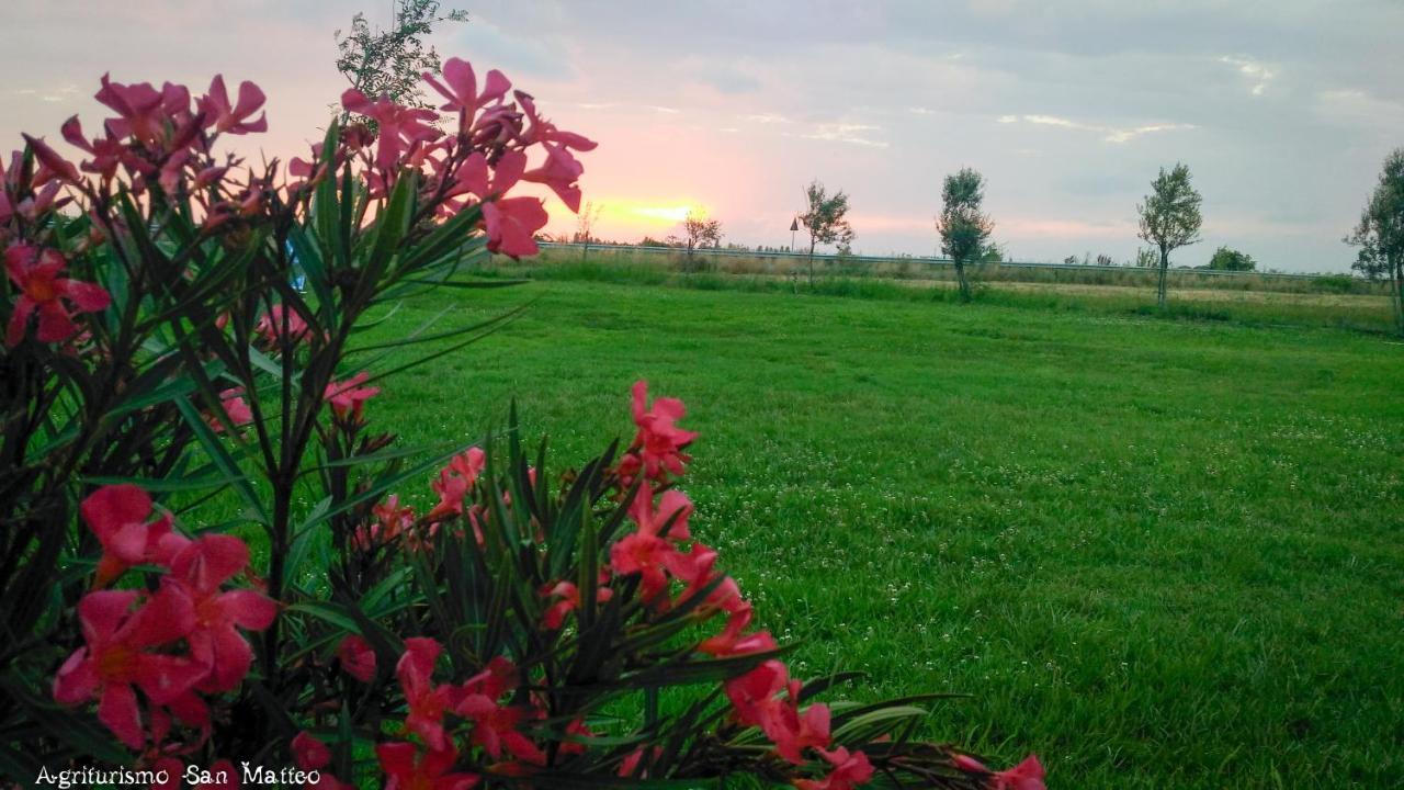 Agriturismo San Matteo Tarquinia Luaran gambar